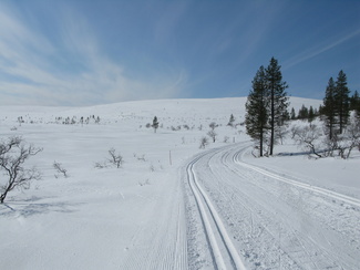 näpäyttämällä kuvaa saat sen näkymään suurempana