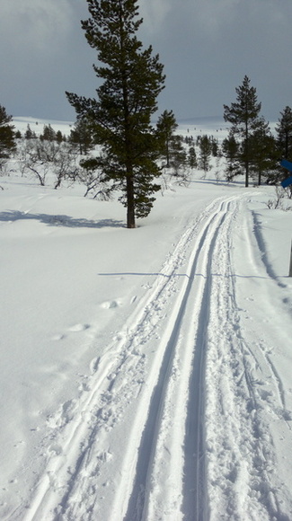 näpäyttämällä kuvaa saat sen näkymään suurempana