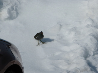 näpäyttämällä kuvaa saat sen näkymään suurempana