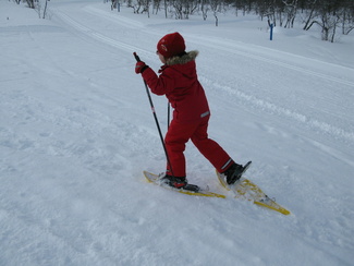 näpäyttämällä kuvaa saat sen näkymään suurempana