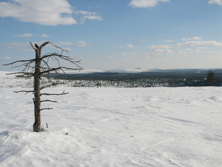 Taustalla häämöttää etelässä Nattastunturit.