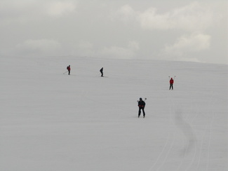 näpäyttämällä kuvaa saat sen näkymään suurempana