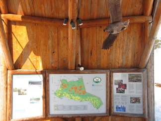 Tuon portin yhteydessä on joitakin opastetauluja, jotka kertovat  mm. puiston luonnosta.