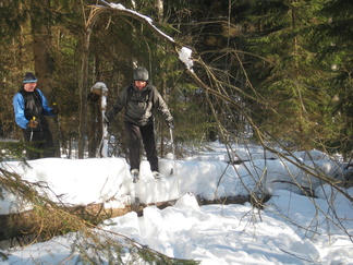 Hanki ei nyt kovin paljon upottanut, mutta metsässä kohtaa kaikenlaisia esteitä hiihtäjäkin!