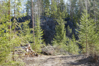 Hyyppärässä on aikoinaan louhittu mustaa kiveä, gabroa. Louhosmonttuja sekä jätekivikasoja on tienoolla runsaasti.