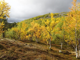 Aurinkokin näyttäytyi.