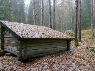 Latu-Miilun laavun katto oli päällystetty haavan lehdillä!