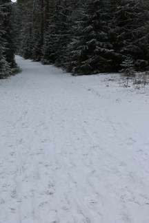 Sveitsinpuiston poluilla ei vielä hiihdetä. Lunta on kertynyt vasta pari senttiä.