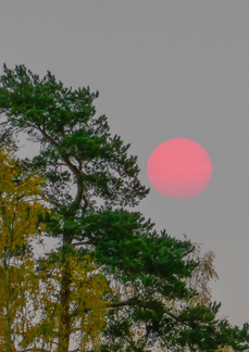 Vieläköhän sananlasku pitää paikkansa. Aamun ruska - päivän pas..! No, onneksi (Sic) on tulossa vielä sateita, jotka puhdistavat ilman hiukkasista!