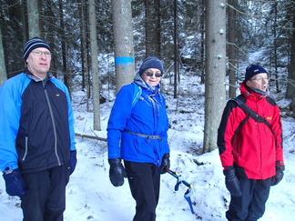 Usmin metsässä taukoiltiin pienen hakkuuaukean reunassa.