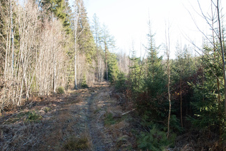 Kypäräsuolla