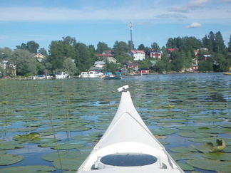 Hauhon vanhan raitin taloja.