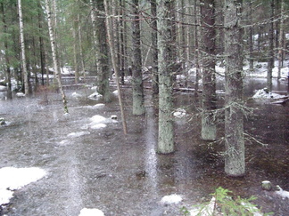 Ojien tukkiminen on nostanut tulvan.