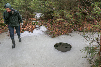 Uvenavanto metäojassa