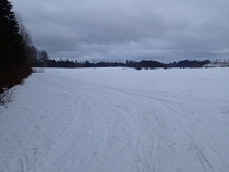 Ehkä tästä voisi vielä viikon verran päästä.