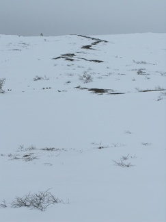 Kevään merkkejä. Lumi sulaa tunturissa ja maata paljastuu.