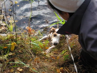 Vähintään uimamaisteri!