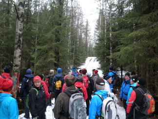 Kävelimme alkumatkan metsäautotietä pitkin.