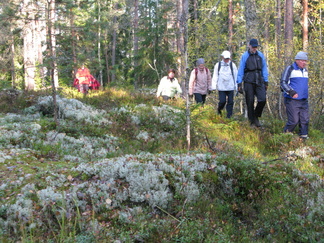 Jatkoimme matkaa ohi eteläisen Kaksoislammen kohti Iso-Karhulampea.