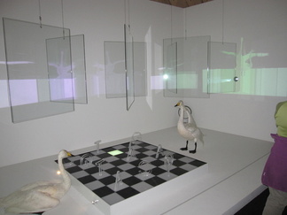 ...jossa joutsenet pelaavat peliä...