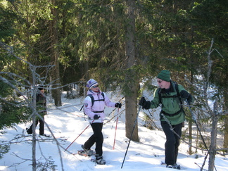 Mutta metsässä kulkeminen oli toki kaikille helppoa.