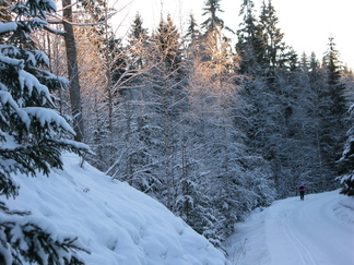Suolijärven tiellä, lähellä Kiiskilampea latu on tehty tien reunaan.