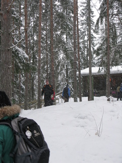 Tuuli puisteli lunta puista