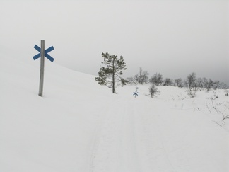 Reitti on merkitty maastoon rastitolpilla.