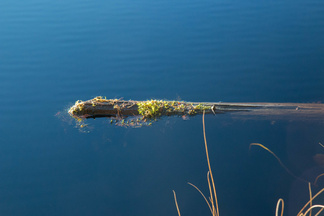 Iso-Kypärälammella