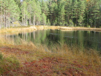 ...Iso-Karhulammelle.