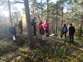 Pkku-Karhua kuikuilemassa