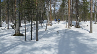Latu johtaa kohti Taajoslaavua...