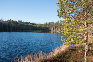 Iso-Kypärälammella