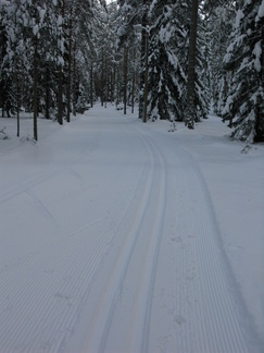 Sonninmäessä kelpaa hiihtää perinteisellä tai luistellen.