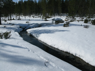 ..samannimisen ojan varrella. Kartasta voidaan havaita, että lähistöllä kohoaa myös Paskatunturi! Sinne ei onneksi ole latu-uraa!