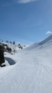 Kuutamokurun alapäätä.