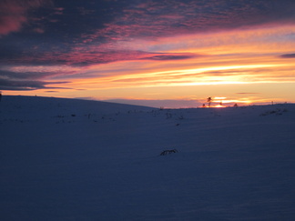 Pian Lapissa aurinko ei enää laske pitkään aikaan....