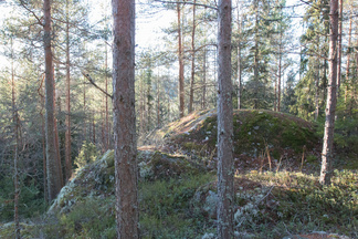 partiolaisten majan pihapiirissä