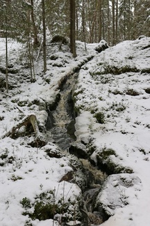 Karhusuolta vedet ryöppyävät pikku koskea pitkin alas ja edelleen metsäojissa kohti Paalijokea.