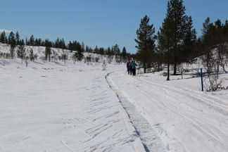 Liikkellä oli monta muutakin suksijaa!