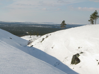 Nimetön kuru Ahopäitten välissä.