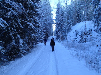 Tuttuakin tutumpi nousu Latu-Miilun majalle.