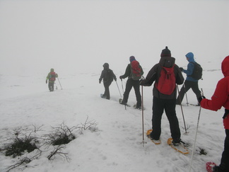 Säätila oli taas sumuisen kostea.