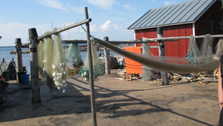 Ammattikalastajija ei saarella enää ole, mutta kalamiehiä kuitenkin!