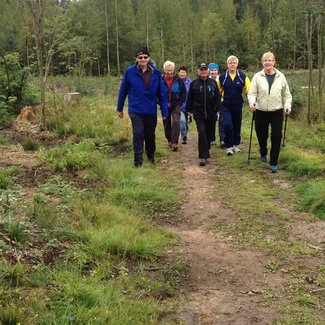 Ensimmäisellä tiistain aamukävelyllä kävimme Nikinharjun suunnalla