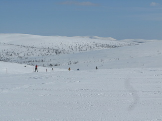 näpäyttämällä kuvaa saat sen näkymään suurempana