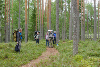 Ajelimme autoilla puiston keskiosassa olevalle paikoitusalueelle ja patikoimme Lintuniemen telttailualueelle puolentoista kilometrin matkan.