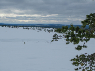 Paluumatkalla Kiilopäälle.