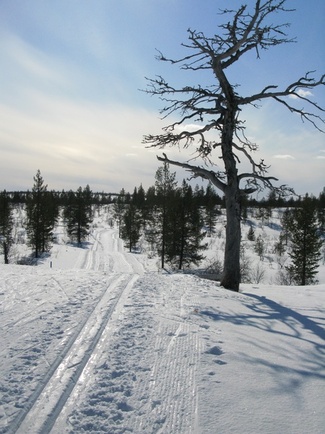 näpäyttämällä kuvaa saat sen näkymään suurempana