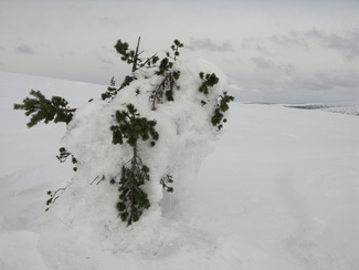 näpäyttämällä kuvaa saat sen näkymään suurempana